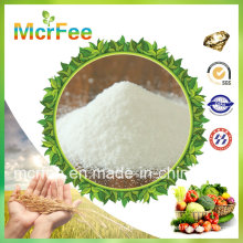 China Hot Sale 12-61-0 Monoammonium Phosphate for Agriculture/Industry Use